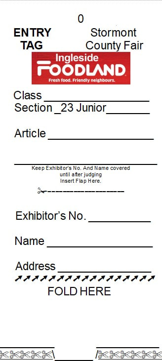 entry tag junior fillable