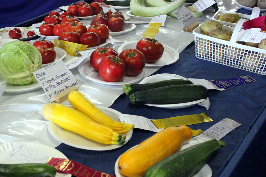 vegetable classes