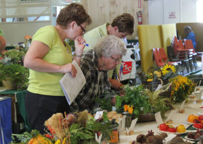 exhibits-judging
