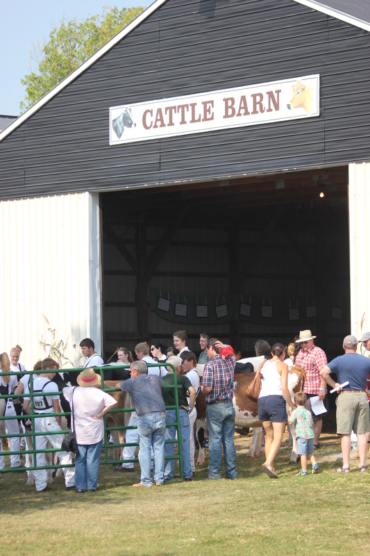 Cattle Barn