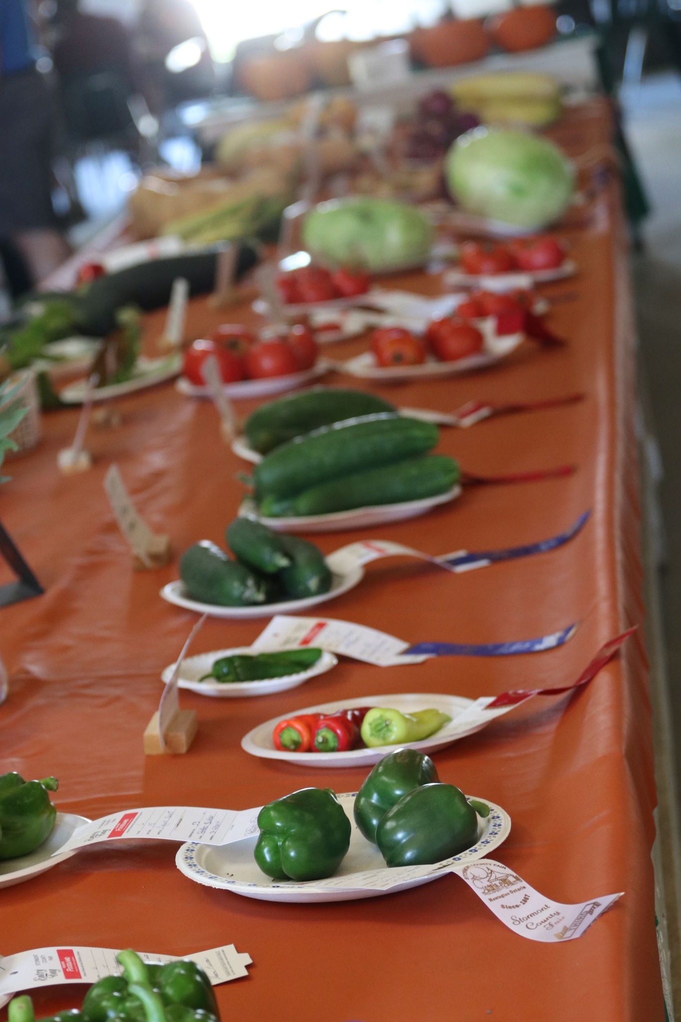Images of exhibits at Stormont County Fair