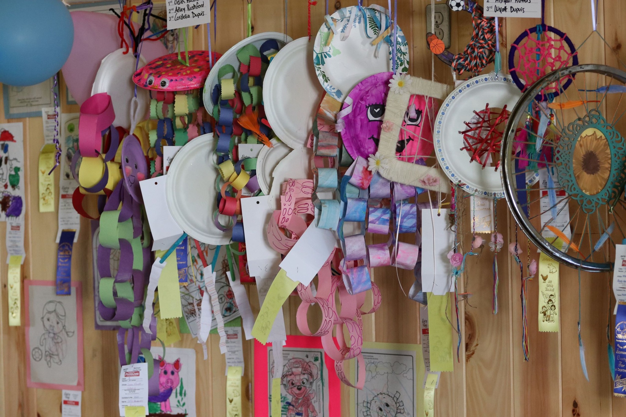 Junior Exhibits with ribbons at Stormont County Fair