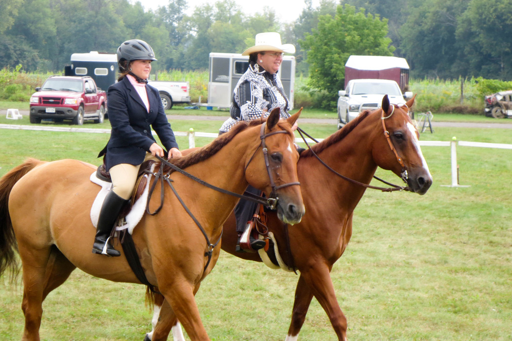 English Horse show