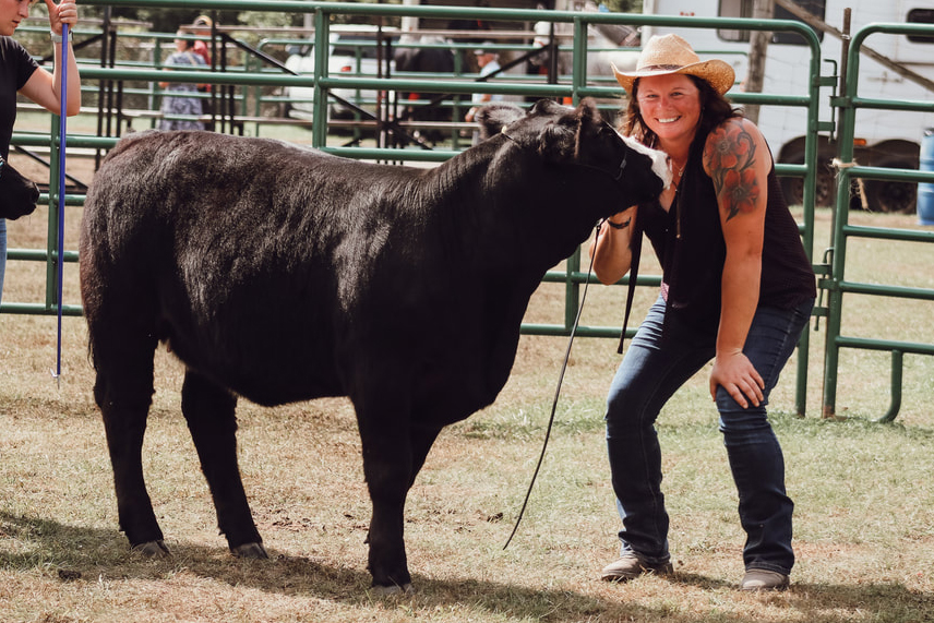 cattle
