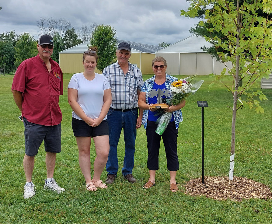 tree planting